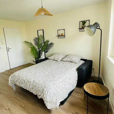 Verrieres 3 Apartment *